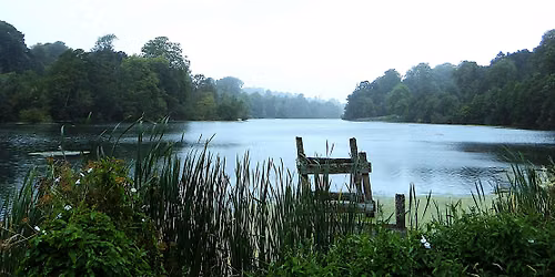 The Splendour of Fonthill