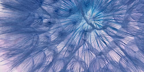 Tango Fusion Aprildans