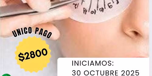 Diplomado intensivo extensiones pelo a pelo