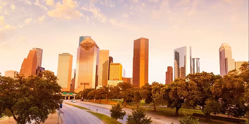 Mecum Auctions \/\/ Houston 2026