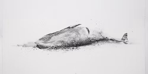 Lei\u00f0s\u00f6gn listamanna | Sj\u00e1varbl\u00e1mi \/ Artists\u2019 Tour | Seas\u2019 Blue Yonder