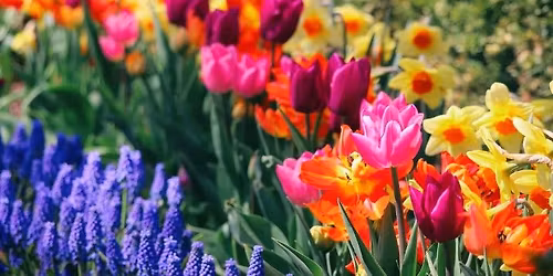 Brickworks in Bloom
