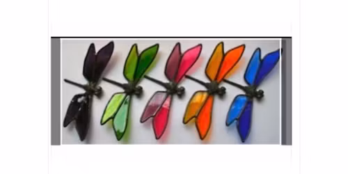 Dragonfly (or butterfly) make and take class COST $40