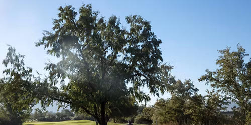 20th Annual Cooper Bowden Memorial Golf Tournament