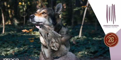 Pedro, o Lobo e a Floresta de Bolso