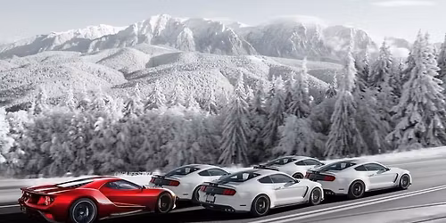 Team Shelby Mountain Region Christmas Party