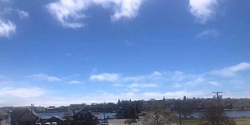 Oak Bluffs Open Market