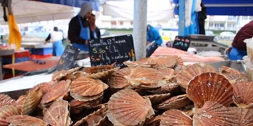 F\u00eate de la Saint Jacques - Etaples sur Mer