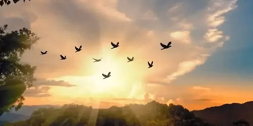 Breath and Meditation