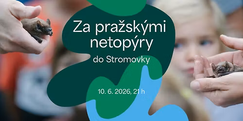 *OBSAZENO* Za pra\u017esk\u00fdmi netop\u00fdry 2026 | Stromovka