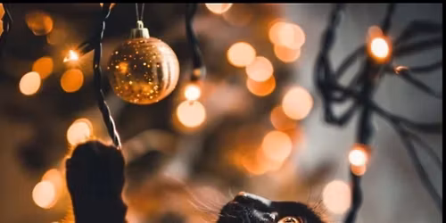 Home for the Holidays-Event #2