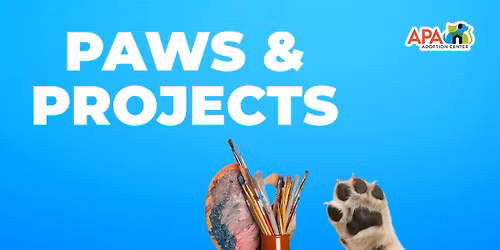 Paws & Projects