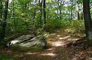 Greenbelt Adult Hike: Red white and Blue Trail