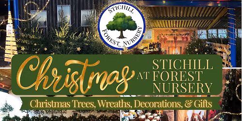 Christmas at Stichill Forest Nursery