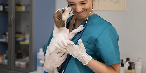 MAKING THE MOST OF YOUR RVN'S IN PRACTICE