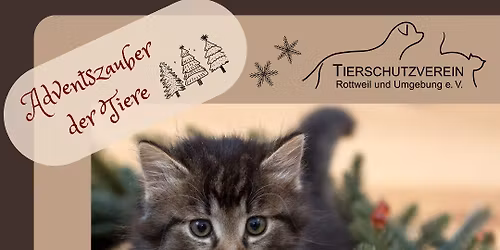 Adventszauber der Tiere