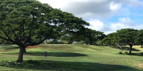 Koops Klassic Cleanup