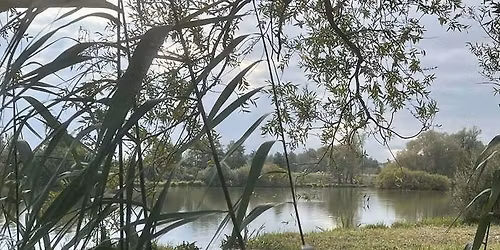 Balade naturaliste : Regards d\u2019automne