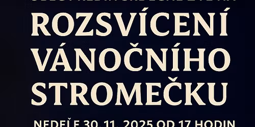 ROZSV\u00cdCEN\u00cd V\u00c1NO\u010cN\u00cdHO STROME\u010cKU