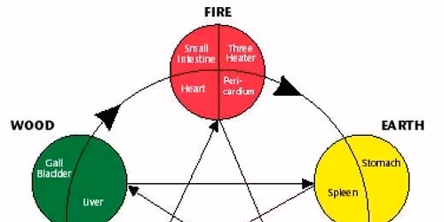 5 Element Fundamentals Kinesiology seminar