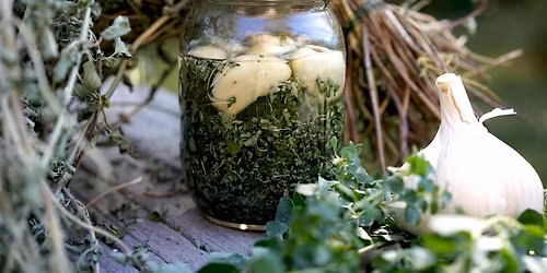 Winter Wellness: 3 Home Remedies for Cold and Flu Season