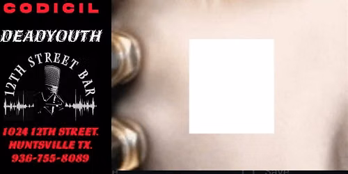 FAKE IT  ( A Tribute To SEETHER)
