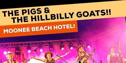 The Pigs and the Hillbilly Goats at Moonee Beach Hotel