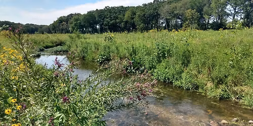 Spring Brook: Back From the Dead