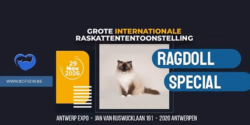 Kattenshow Antwerpen 29\/11\/2026