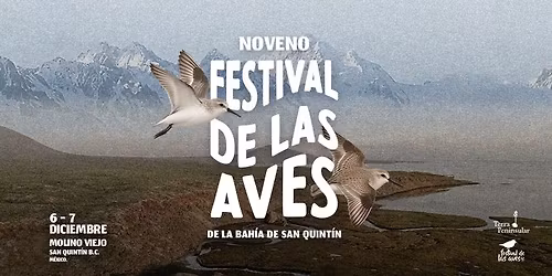 9no. Festival de las Aves de la Bah\u00eda de San Quint\u00edn