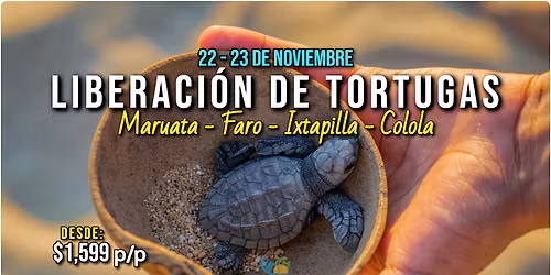 \ud83c\udf05LIBERACI\u00d3N DE TORTUGAS\ud83d\udc22