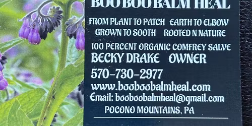 LEHIGHTON DOWNTOWN INITIATIVE HOMETOWN VINTAGE CHRISTMAS