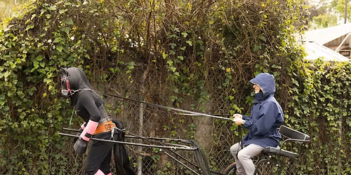 Romp and Trot, a Cart and Sled Pull Event