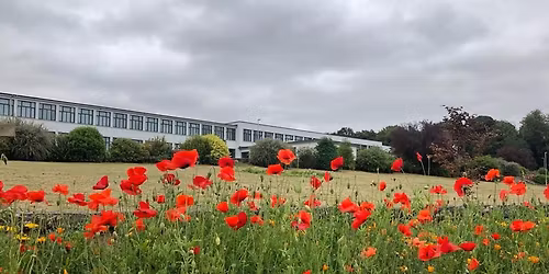 Christmas Crafternoon