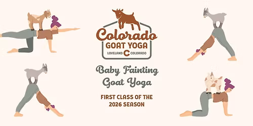 Goat Yoga - First Class of Season!!