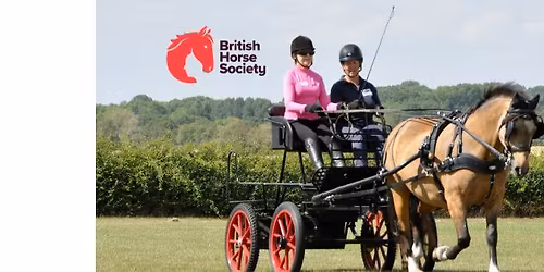 Try Carriage Driving Experience