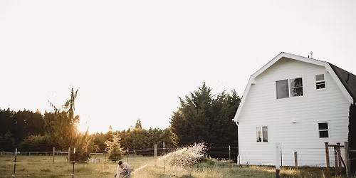 Sweet Summer Nights 