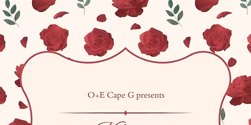 Speed Dating\/Friending