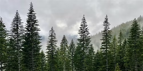 2026 Oregon SAF Annual Meeting