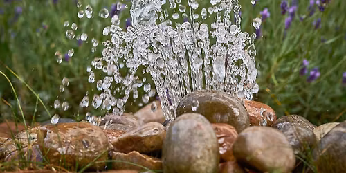 Gardening for a Changing Climate - Gardening Talk
