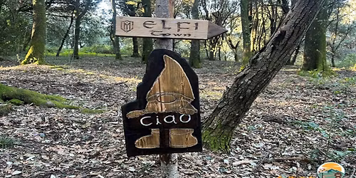 Nella terra degli Elfi