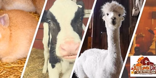Autumn Days: Animal show & Hayride Weekend