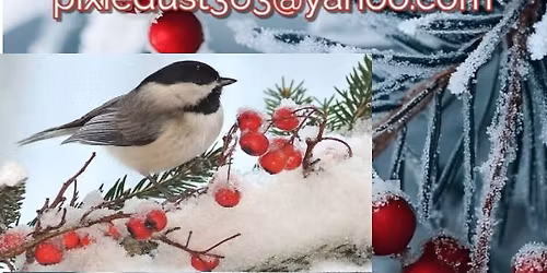 Winter Chickadee