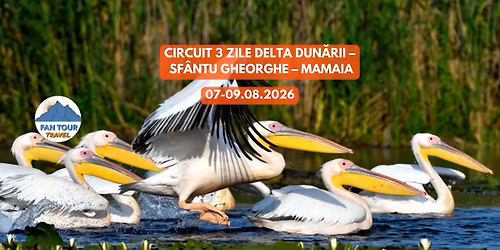 \ud83c\udf3f\ud83c\udf0a CIRCUIT 3 ZILE DELTA DUN\u0102RII \u2013 SF\u00c2NTU GHEORGHE \u2013 MAMAIA \ud83c\udf0a\ud83c\udf3f\n07\u201309.08.2026