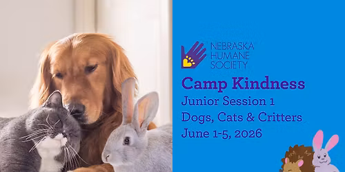 SOLD OUT - Camp Kindness Junior Session 1: Dogs, Cats & Critters