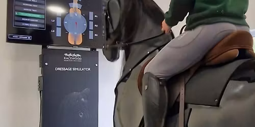 Horse Simulator Rider training with Louise Sharpe BHSII
