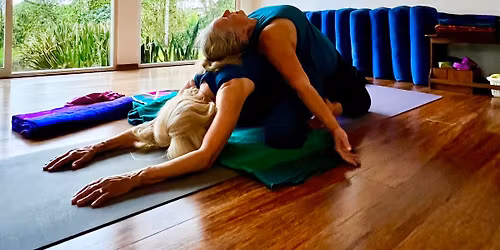 Partner Yoga at Yoga on York!