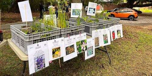 Native Plant Festival