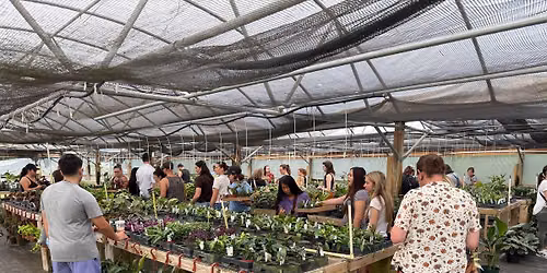 Second Saturday Plant Sale - October 2026