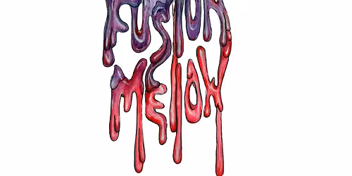 Fusion Mellow back at the Red Barn